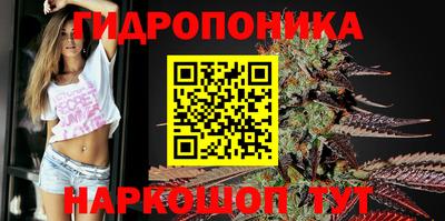 шишки Кандалакша