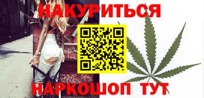 шишки Кандалакша