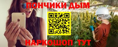 шишки Кандалакша